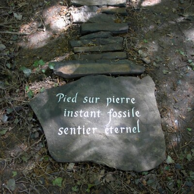 Marcher avec la vie et lire le paysage. Espace de recueillement.