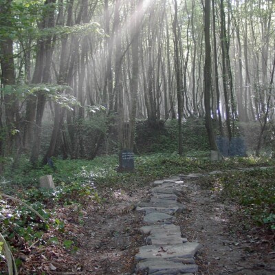 Marcher avec la vie et lire le paysage. Espace de recueillement.