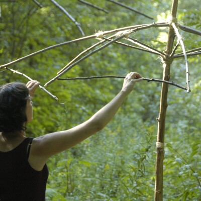 Biodiversité et précipitations. Lieu de réflexion sur les humeurs naturelles et créatrices.
<br>