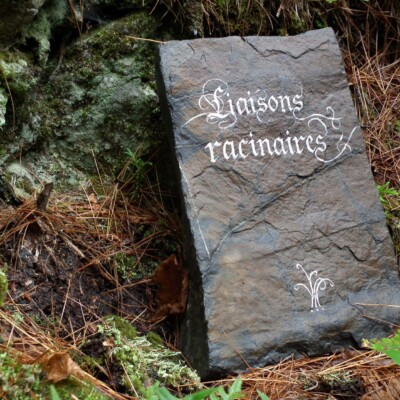 Quand on s’enracine dans la beauté, les mots montent comme une sève. Ah! l’éveil des sens et le puissant désir d’écrire! Veine archiviste.
</br>