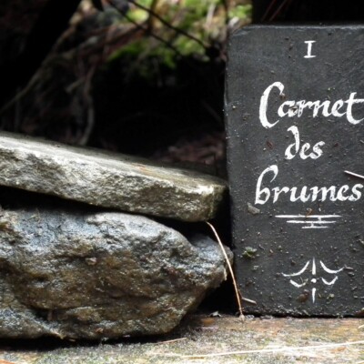 Quand on s’enracine dans la beauté, les mots montent comme une sève. Ah! l’éveil des sens et le puissant désir d’écrire! Veine archiviste.
</br>
