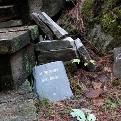 Quand on s’enracine dans la beauté, les mots montent comme une sève. Ah! l’éveil des sens et le puissant désir d’écrire! Veine archiviste.
</br>